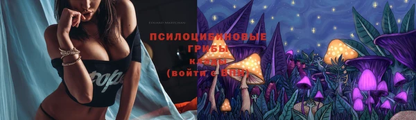 герыч Алексин
