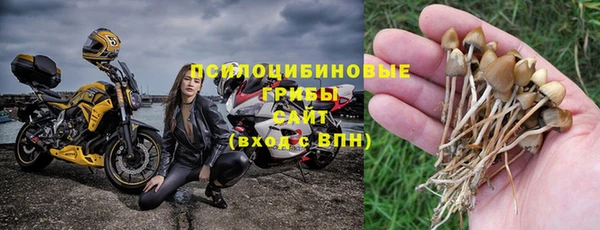 герыч Алексин