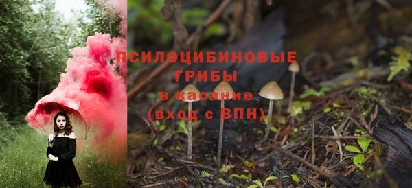бутират Алзамай