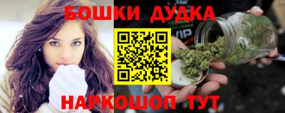 индика Усть-Джегута
