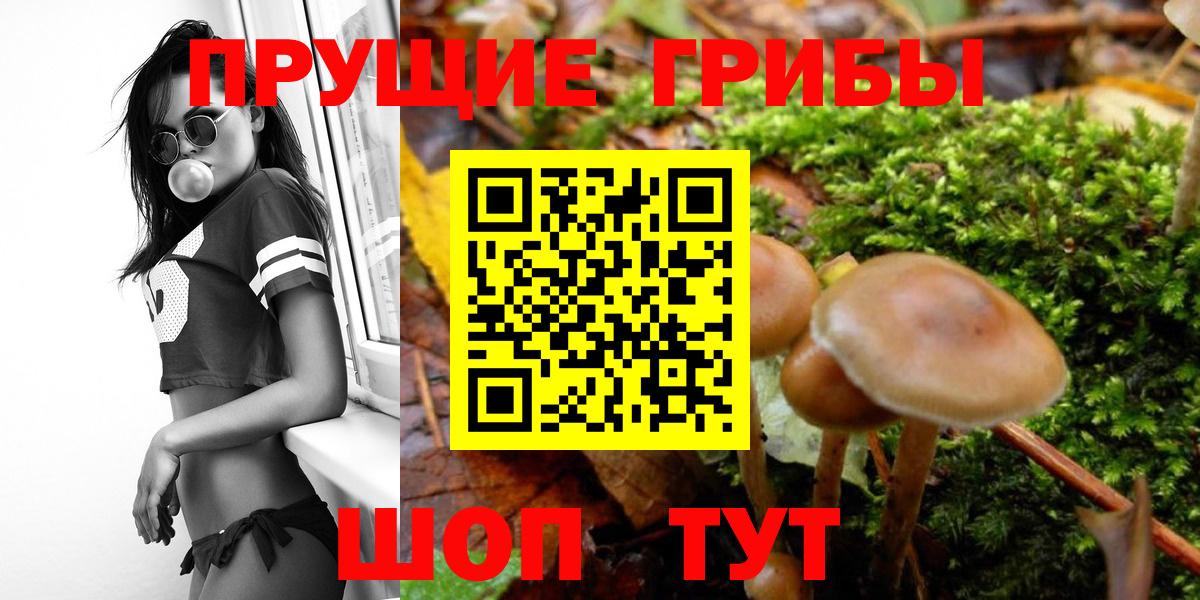 Псилоцибиновые грибы ЛСД Ревда