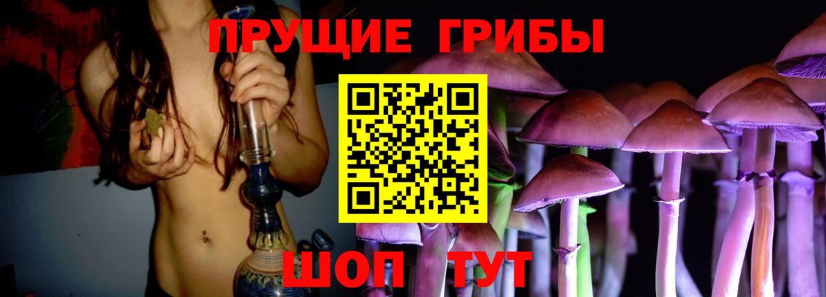 Ревда  Псилоцибиновые грибы MAGIC MUSHROOMS  Вход с VPN 